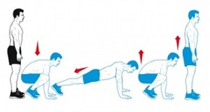 Burpee