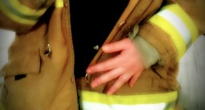 Firehouse fox